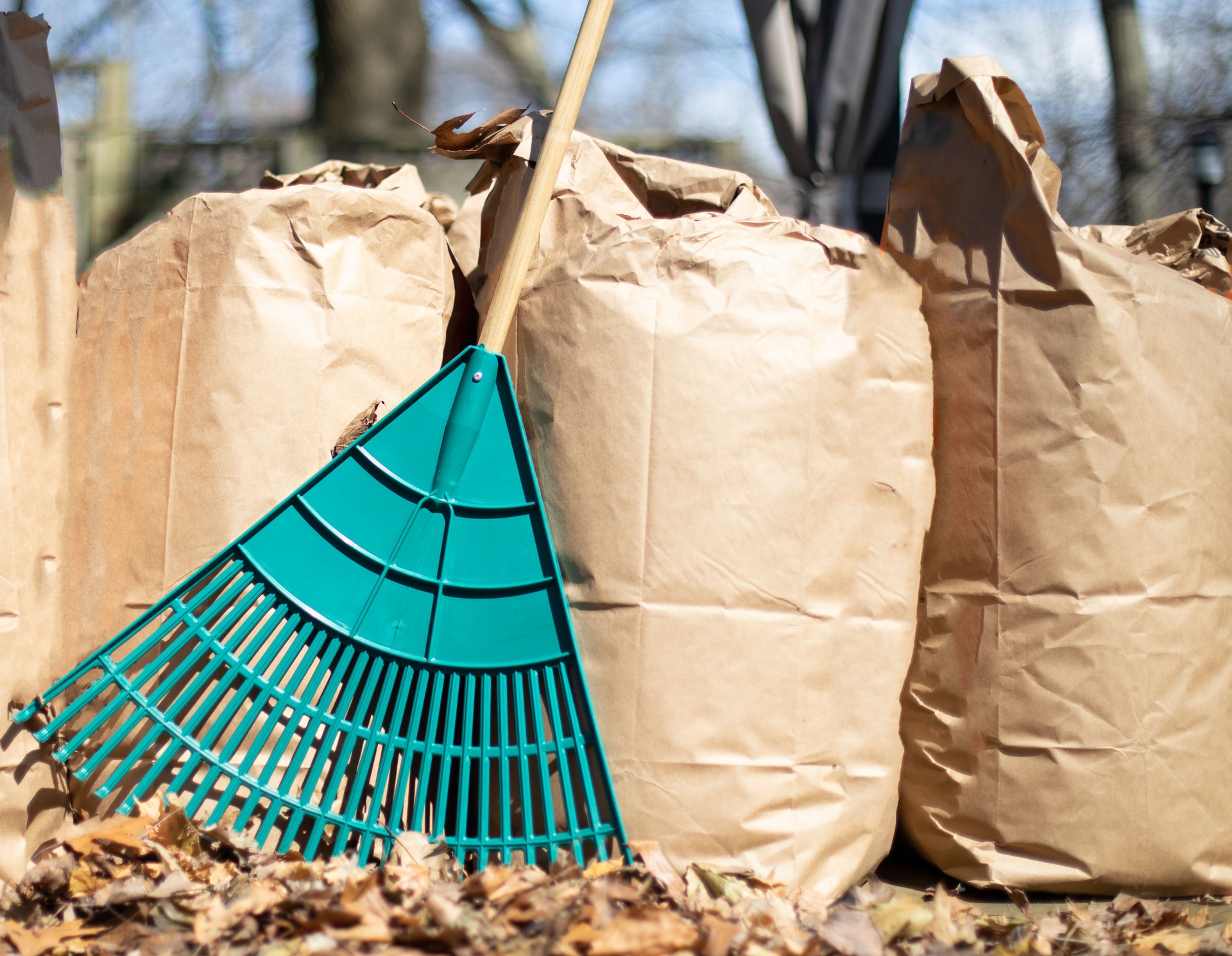 garden-waste-removal